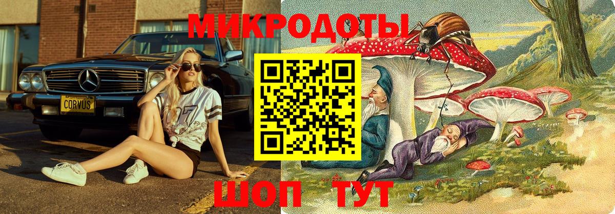 Псилоцибиновые грибы GOLDEN TEACHER Луховицы