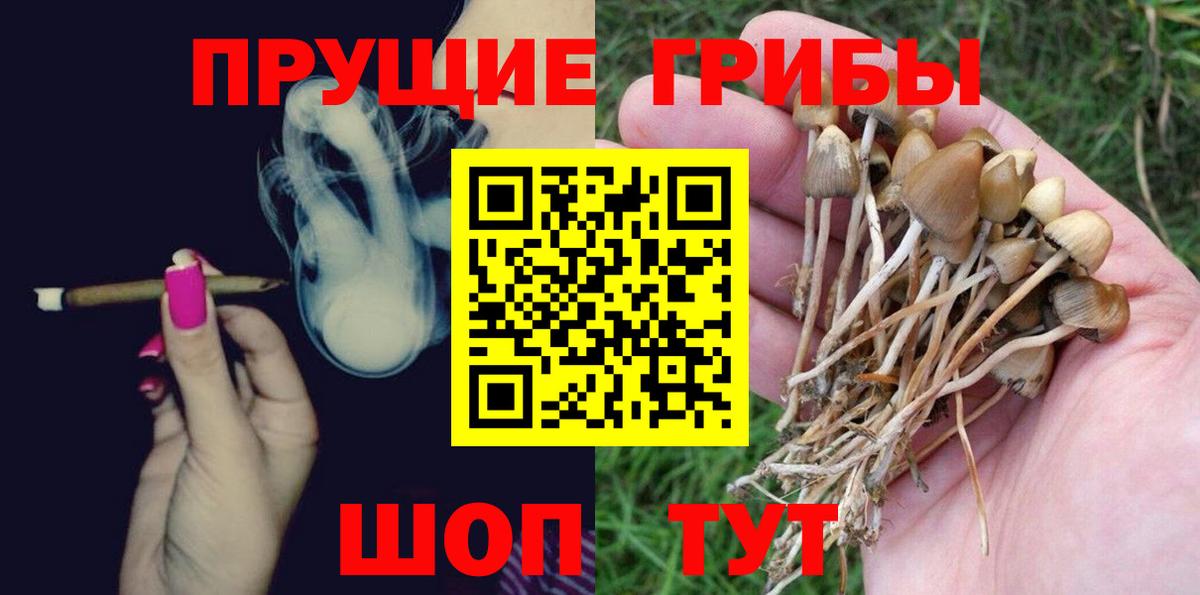 Луховицы  Псилоцибиновые грибы GOLDEN TEACHER  Вход с VPN 